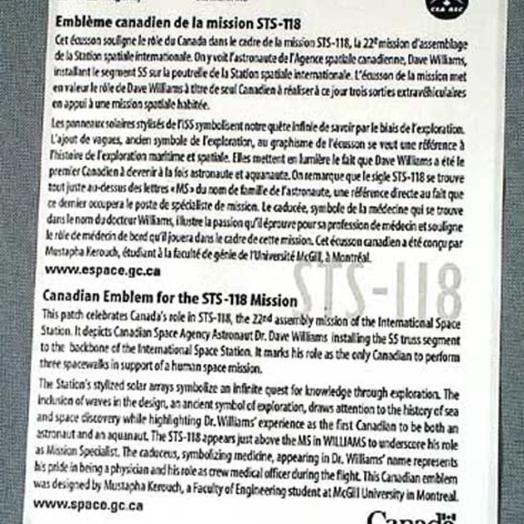 DAVID WILLIAMS 2007 STS-118 PERSONAL STICKER, OFFICIAL ASTRONAUT FULL COLOUR DES - Picture 2 of 2